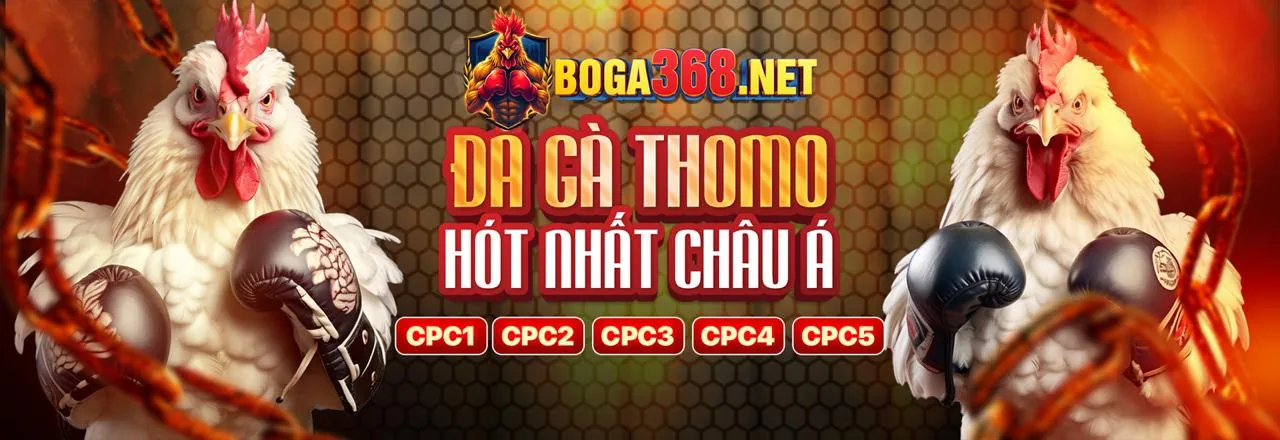 Cá cược thể thao 789win1